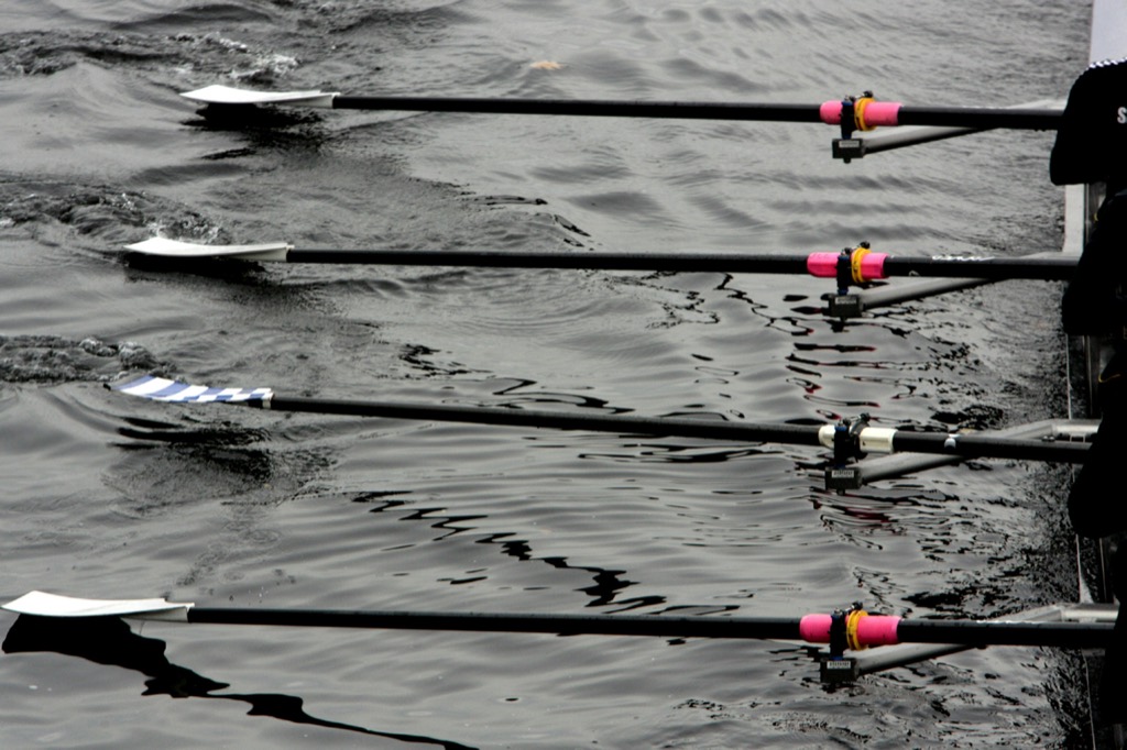 Rowing blades with pink collars just above the water, right before the catch